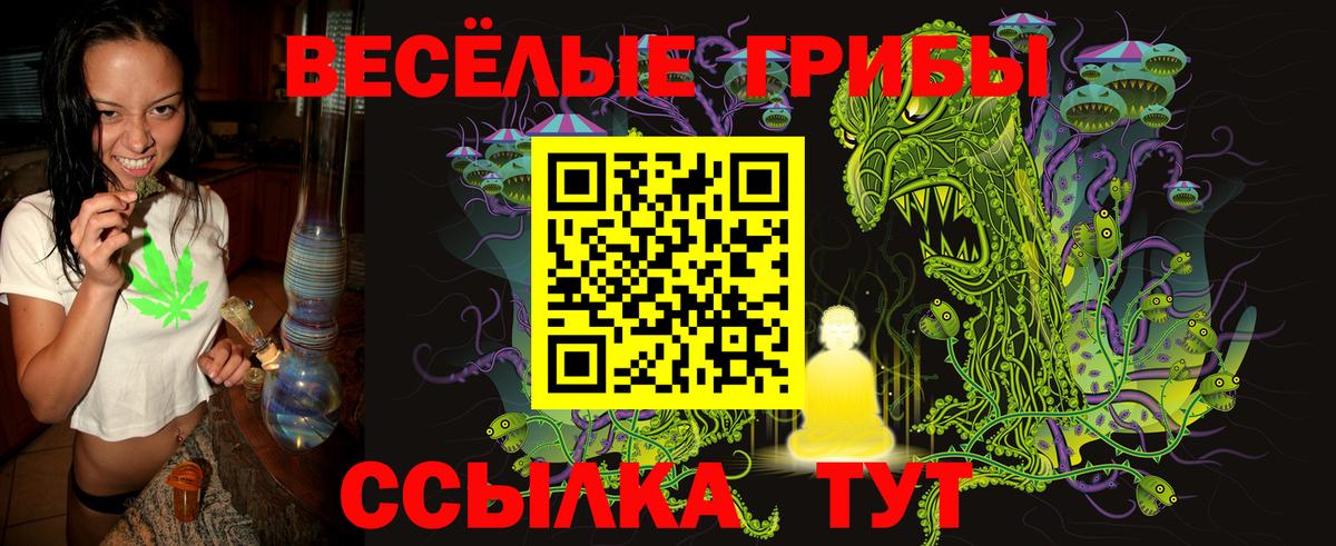 Галлюциногенные грибы прущие грибы Заинск