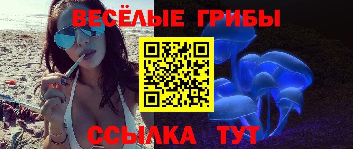 Заинск  Галлюциногенные грибы Psilocybine cubensis  Вход с VPN 